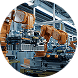 Industrial Facilities